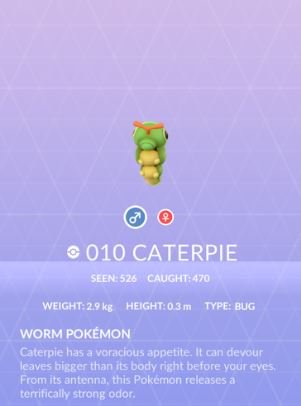 caterpie2.JPG