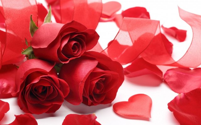 roses_heart_love_symbol_romance_valentine_red_celebration-1371799.jpg!d.jpeg