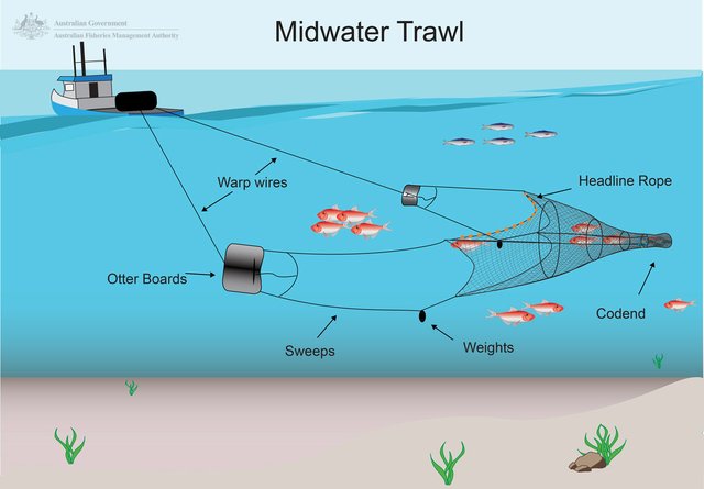 Midwater-trawl-Scalefish-sector.jpg