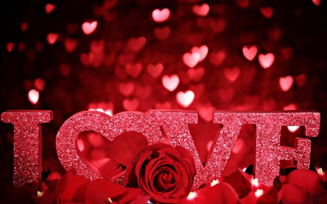 Valentines-Day-Love-Rose-Petals.jpg