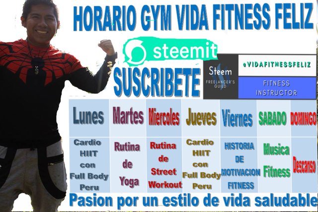 horario gym vida fitness feliz.jpg