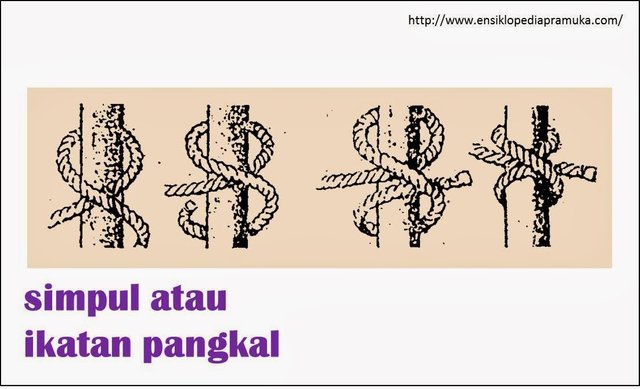 Berkemah Simpul atau Ikatan Pangkal.jpg