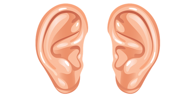 Ear-Download-PNG.png