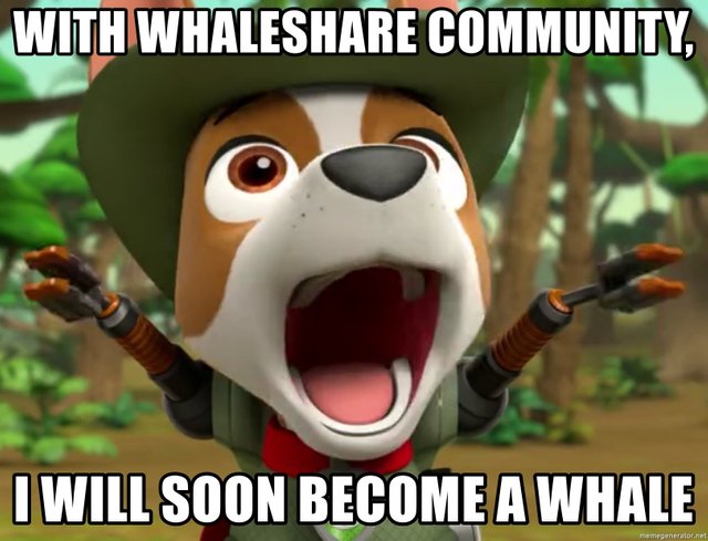 whaleshare.jpg
