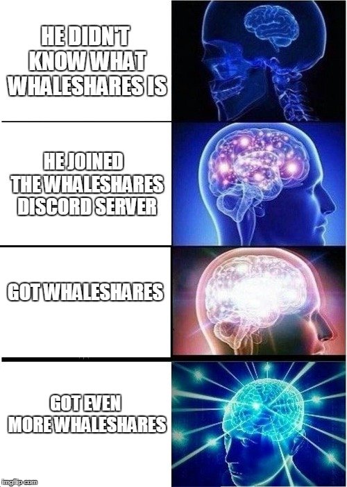 Whaleshares 4.jpg