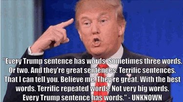 TrumpSentences.jpg