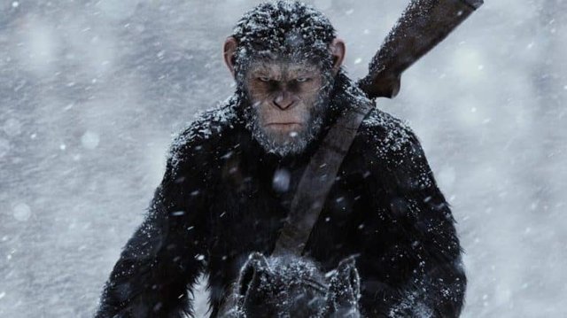 War-for-the-Planet-of-the-Apes-via-forbes.com_-768x431.jpg
