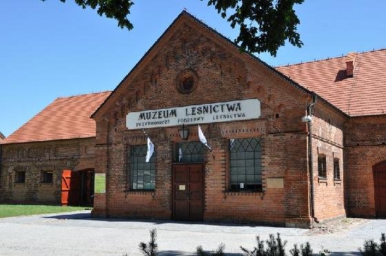 Muzeum Leśnictwa.jpg