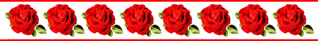 red-rose-border.png