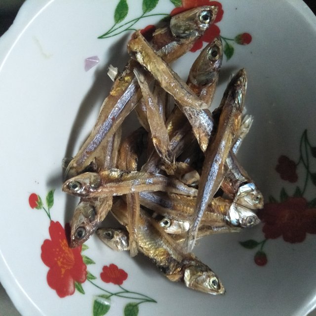 IMG20180211120446.jpg