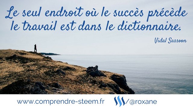 Le seul endroit ou le succes precede le travail est dans le dictionnaire.jpg