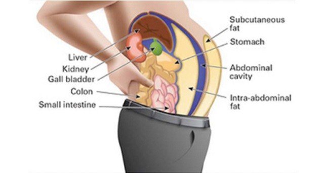 Toxins-Stored-In-Your-Fat-Cells-Are-Making-You-Fat-And-Swollen.-Here’s-How-To-Cleanse-Them.jpg