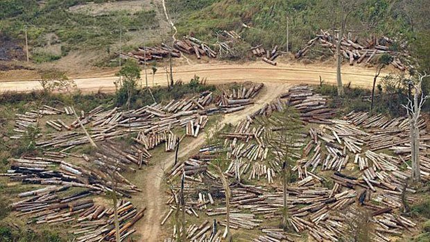 laos-logging-011017.jpg