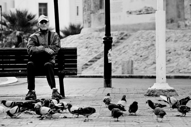 stranger and pigeons.jpg