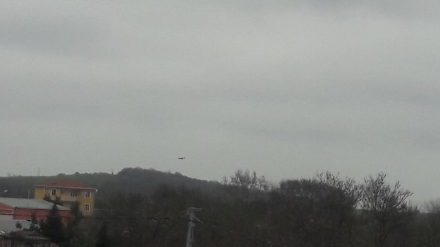 20180220_144832.jpg