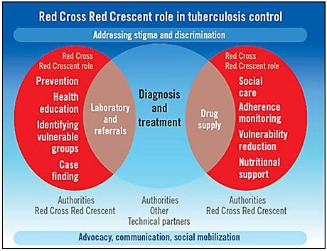 RCRC-role-in-TB.jpg