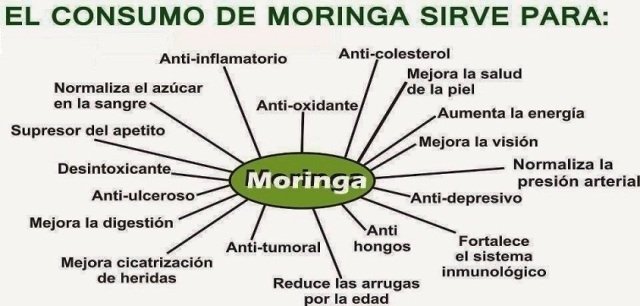 propiedades-de-la-moringa.jpg