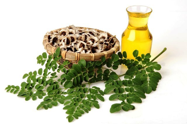 moringa-aceite-semillas.jpg