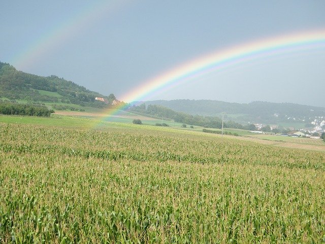 rainbow-336413_640.jpg