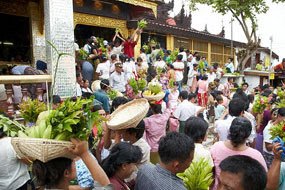 festivals-taungpyone[1].jpg