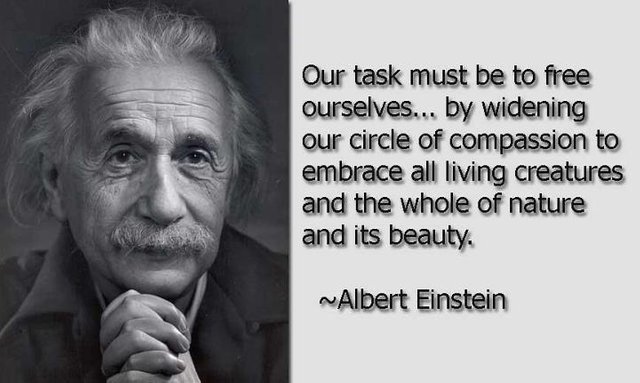 Einstein-Quote-4.jpg