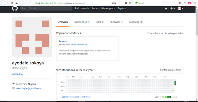 github profile.PNG