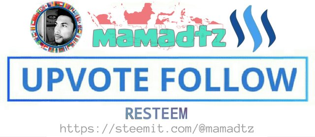 LogoSteemitMamadtz.jpg