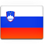 Slovenia-Flag.png