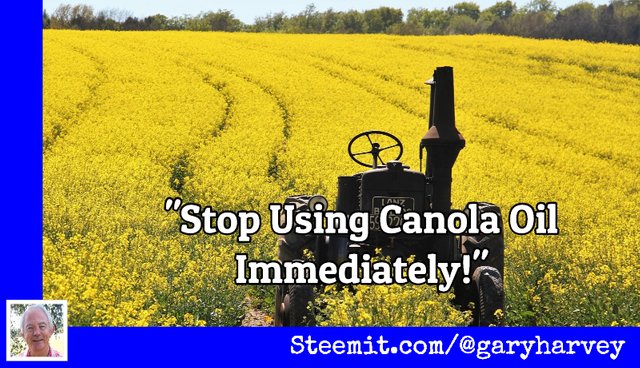 thumb-canola.jpg