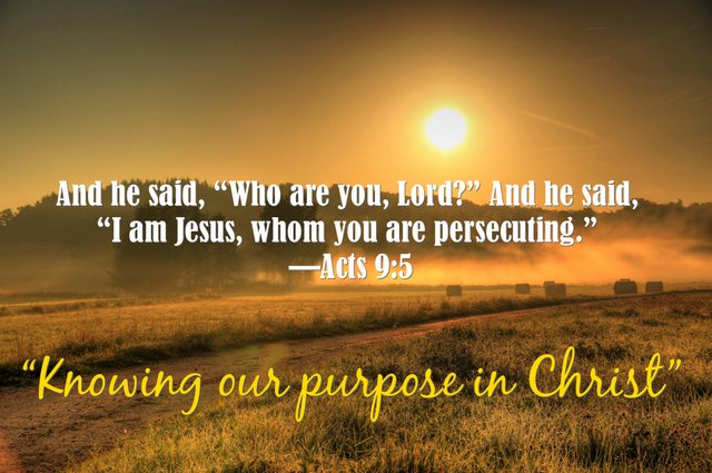 I Am Jesus Whom You Are Persecuting