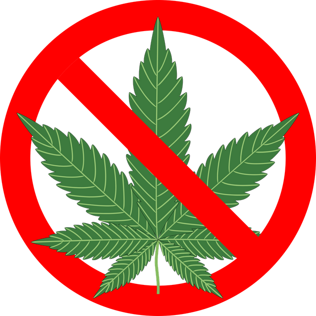 cannabis-1254745_1280.png
