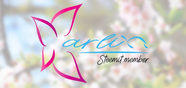 BANNER STEEMIT.jpg