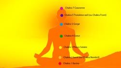 chakras