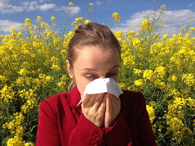 allergy-1738191_640.jpg