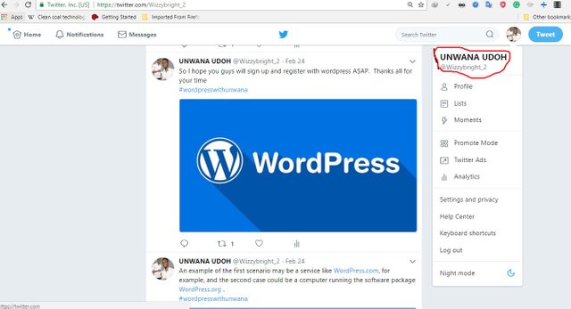 wordpress proff new.jpg