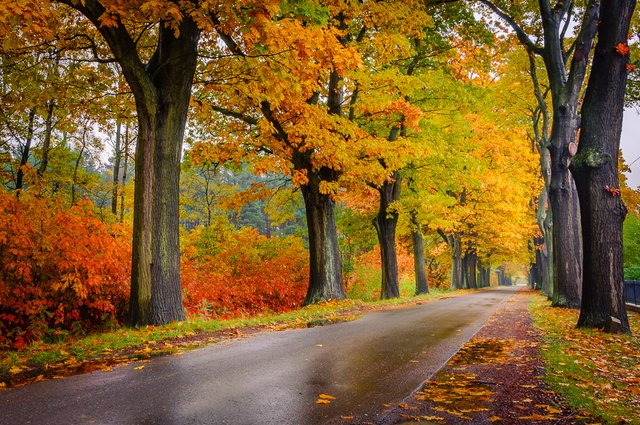 Driving on the autumn roads_DSC2664-HDR_1000px.jpg