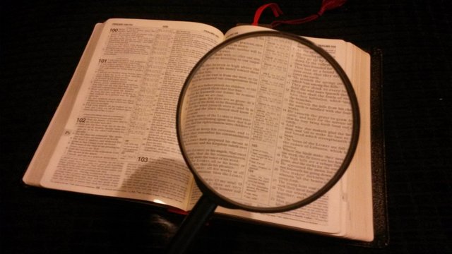 magnifying_glass_magnified_magnifying_magnify_magnification_magnifier_inspect_enlarge-849526.jpg