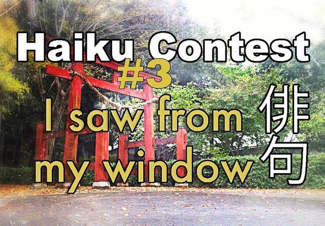 haiku-contest-#3.jpg