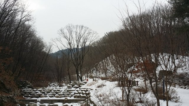 20180227_085900.jpg