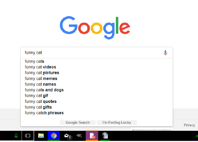 google search.png