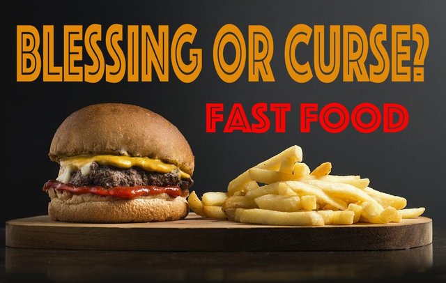 fast food fluch oder segen .jpg