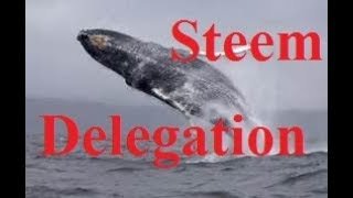 Steem delegation.jpg