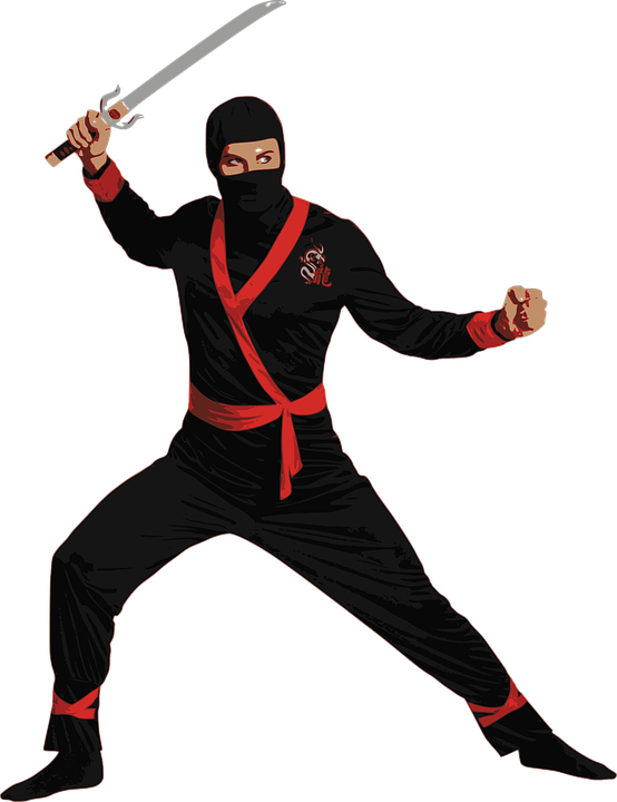 ninja-1297215_960_720.png