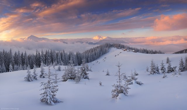 winter-fairy-tale-carpathians-ukraine-1.jpg