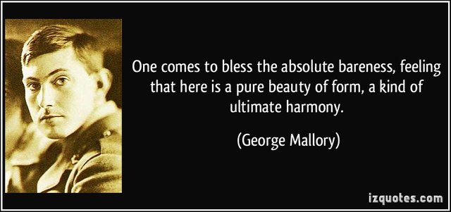 quote-one-comes-to-bless-the-absolute-bareness-feeling-that-here-is-a-pure-beauty-of-form-a-kind-of-george-mallory-249428.jpg