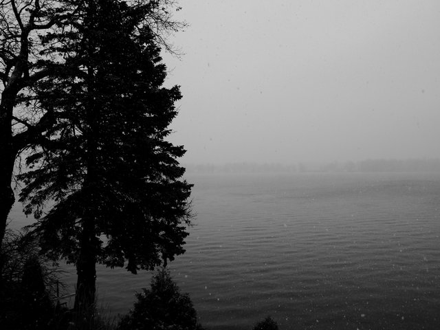 P1140877.JPG