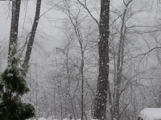 P1150007.JPG
