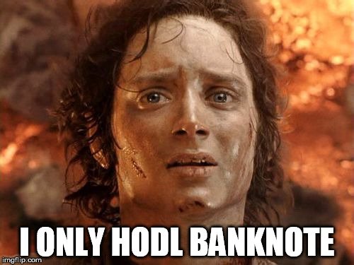 I only hodl banknote.jpg