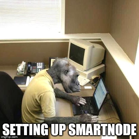 setting up smartnode.jpg