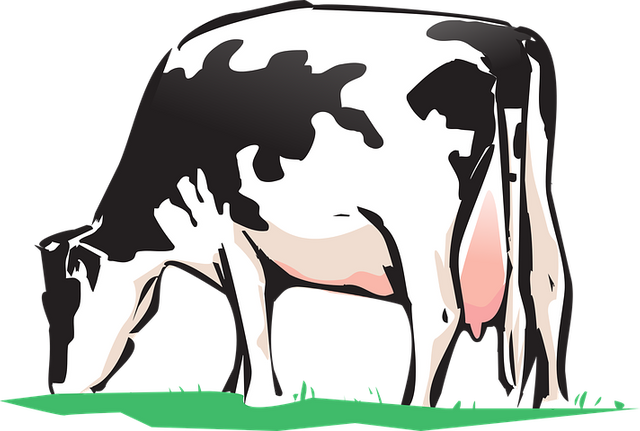 cow-2146011__480.png